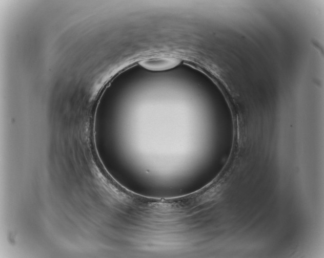 X0000100971500200807011409