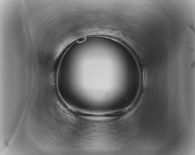 X0000100971501200807011409