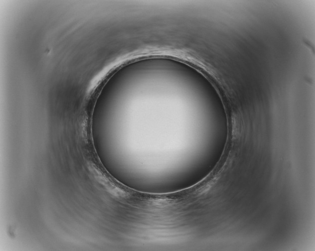 X0000100971502200807011409
