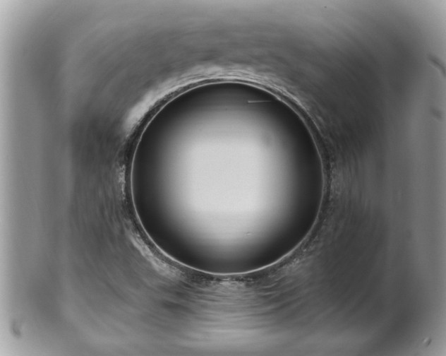 X0000100971503200807011409