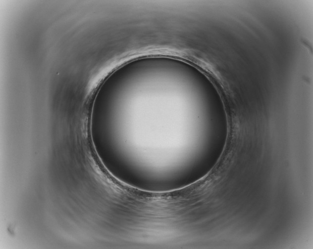 X0000100971504200807011409