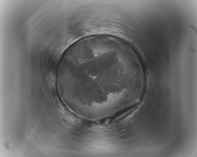 X0000100971505200807011409