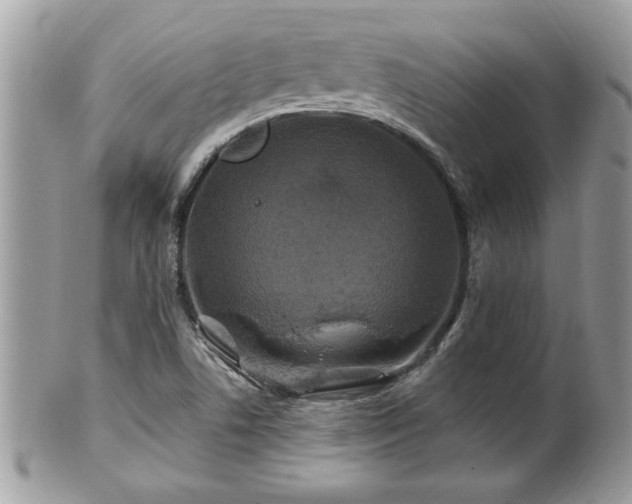 X0000100971506200807011409