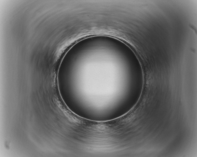 X0000100971507200807011409