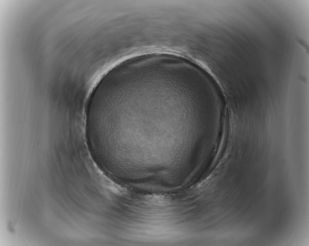 X0000100971508200807011409