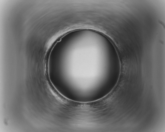X0000100971511200807011409