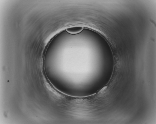 X0000100971518200807011409