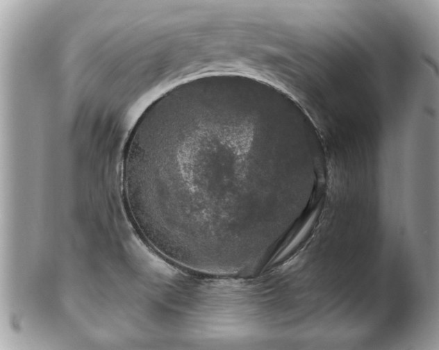 X0000100971519200807011409