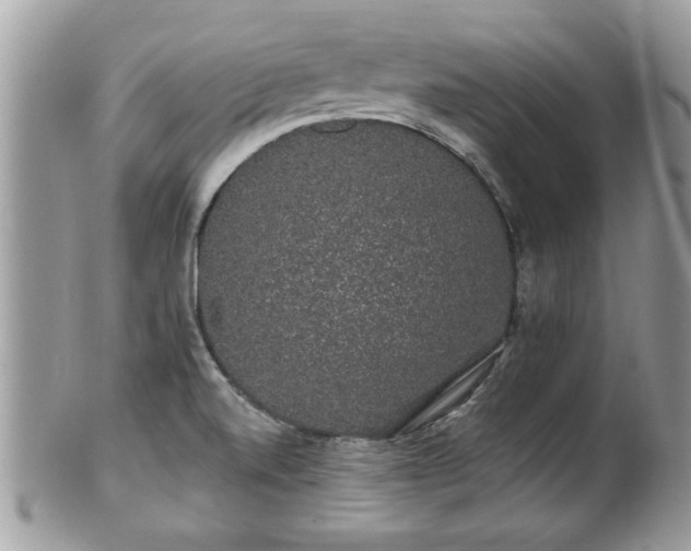 X0000100971520200807011409
