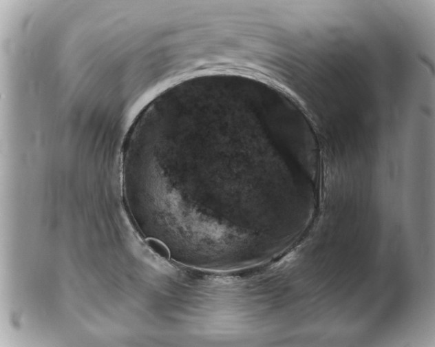 X0000100971522200807011409