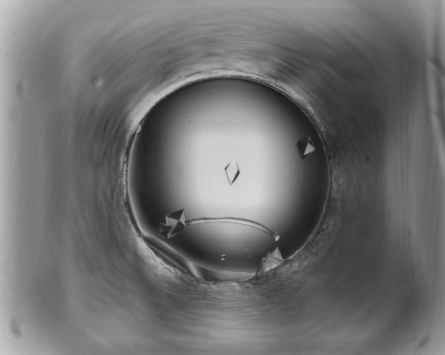 X0000100971524200807011409