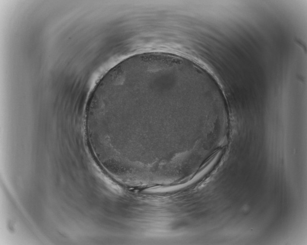 X0000100971525200807011409