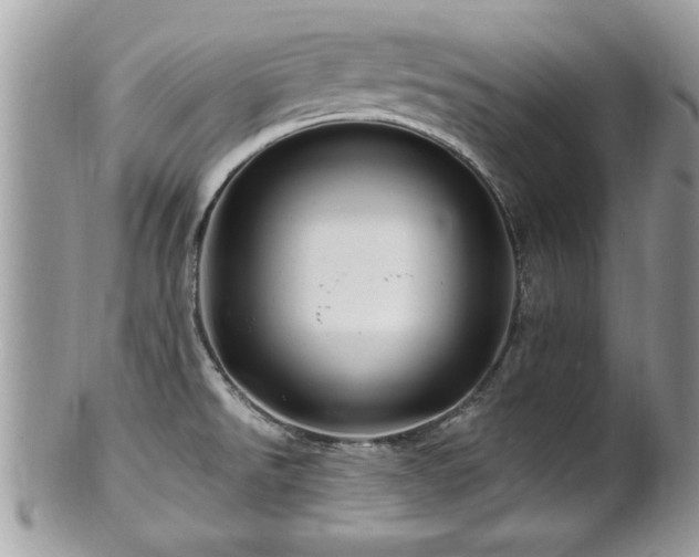 X0000100971526200807011409