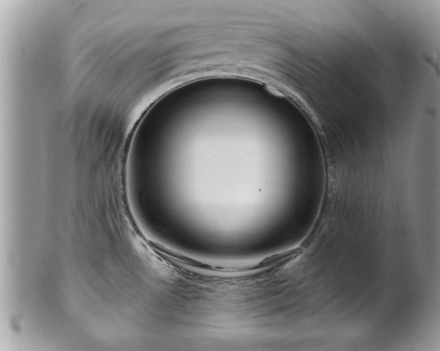 X0000100971530200807011409