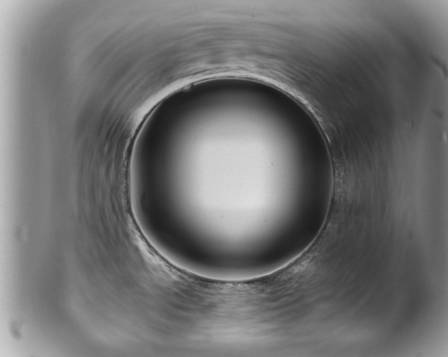 X0000100971534200807011409