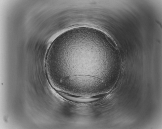 X0000100971535200807011409
