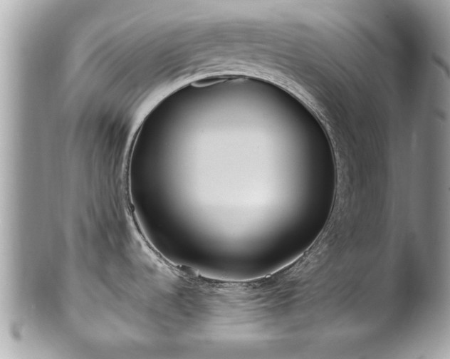 X0000100971536200807011409