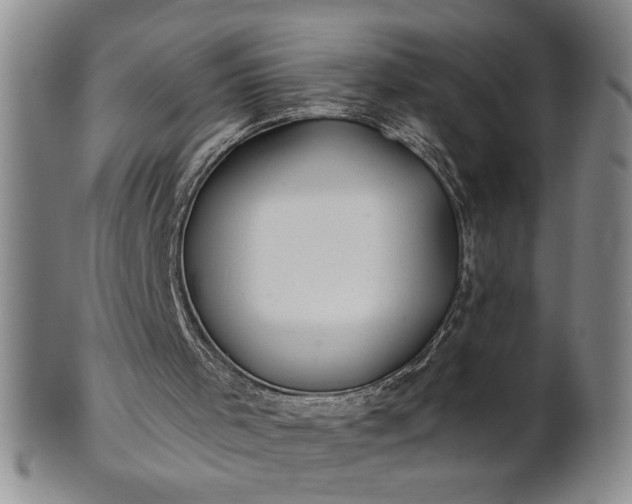 X0000100970001200807081231