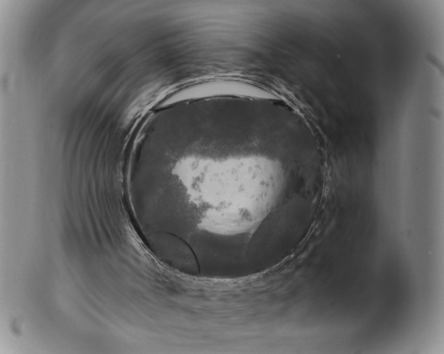 X0000100970002200807081231