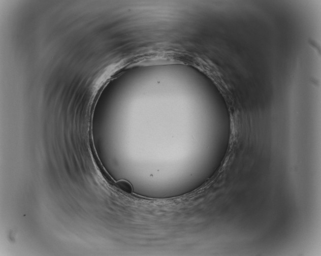 X0000100970003200807081231