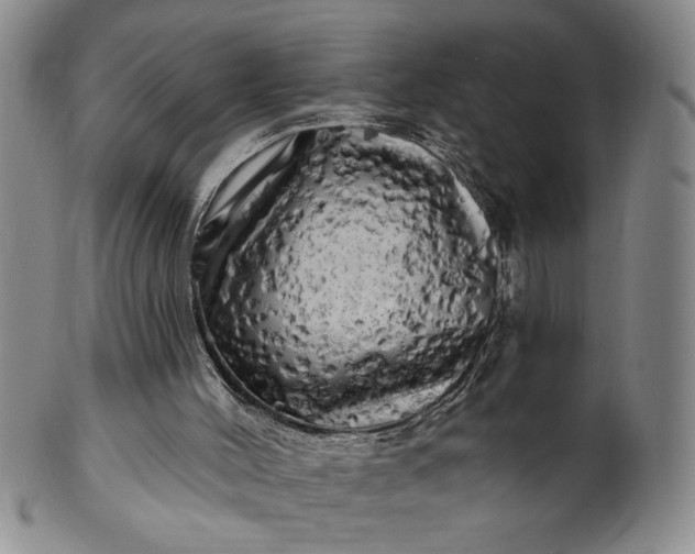 X0000100970004200807081230