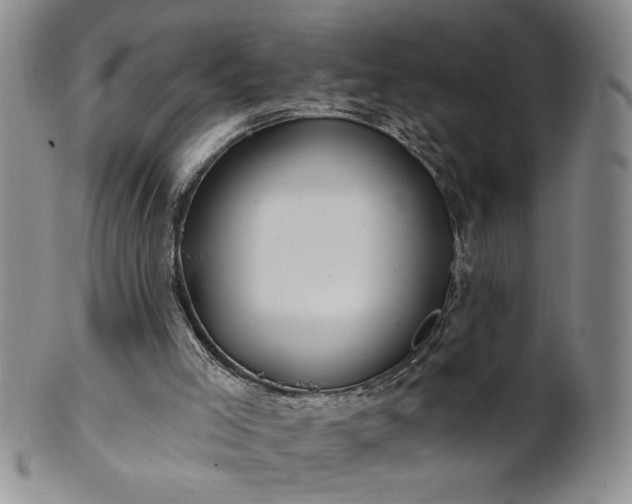 X0000100970005200807081230