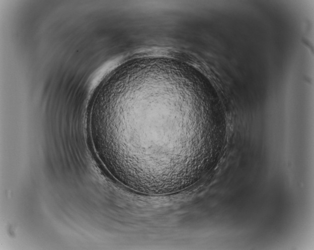 X0000100970006200807081230