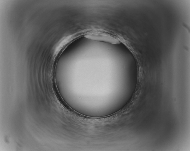 X0000100970007200807081230