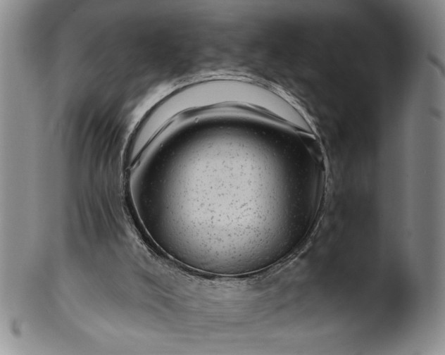 X0000100970008200807081230