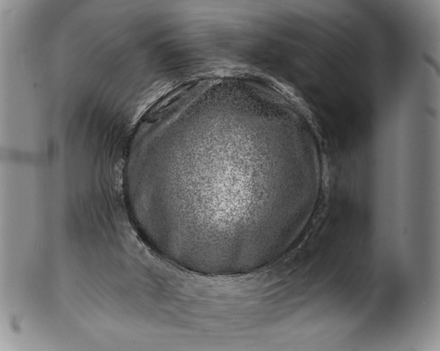 X0000100970010200807081230