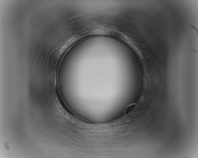 X0000100970011200807081230