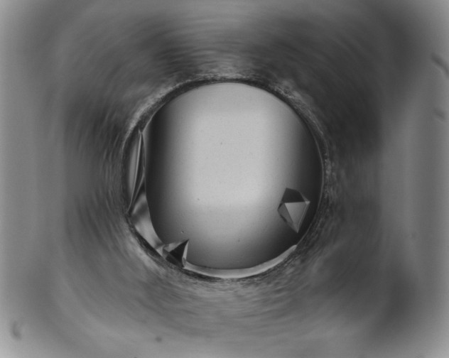 X0000100970012200807081230