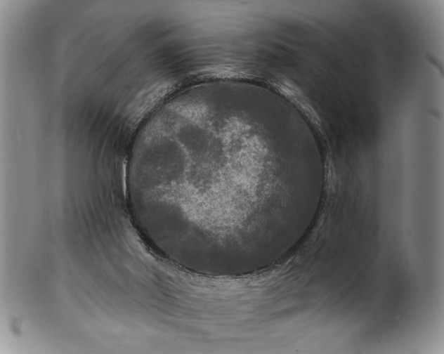 X0000100970014200807081230