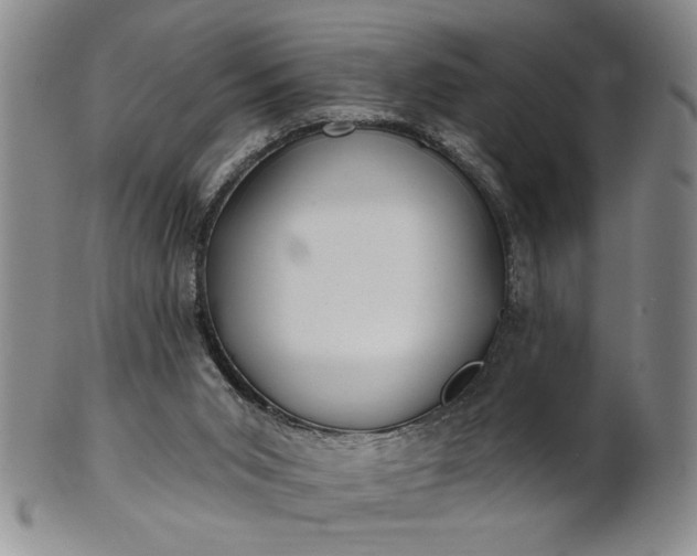 X0000100970015200807081230