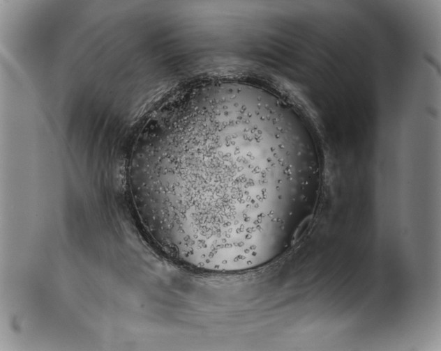 X0000100970017200807081230