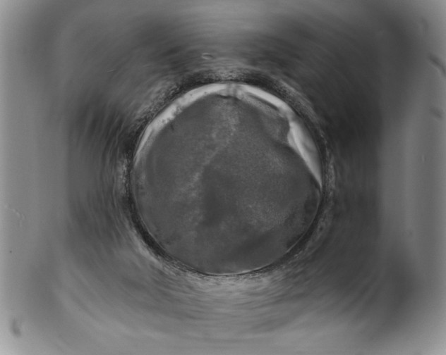 X0000100970018200807081230