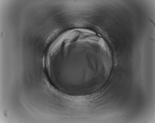 X0000100970019200807081230