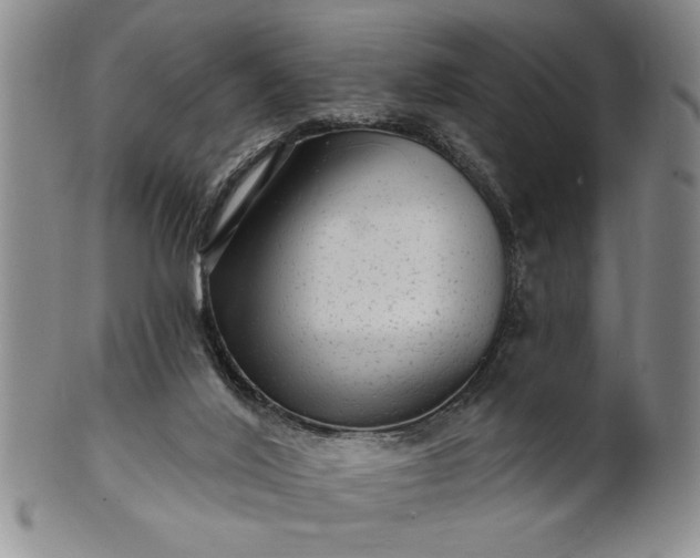 X0000100970020200807081230