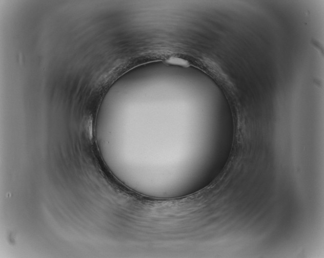 X0000100970021200807081230