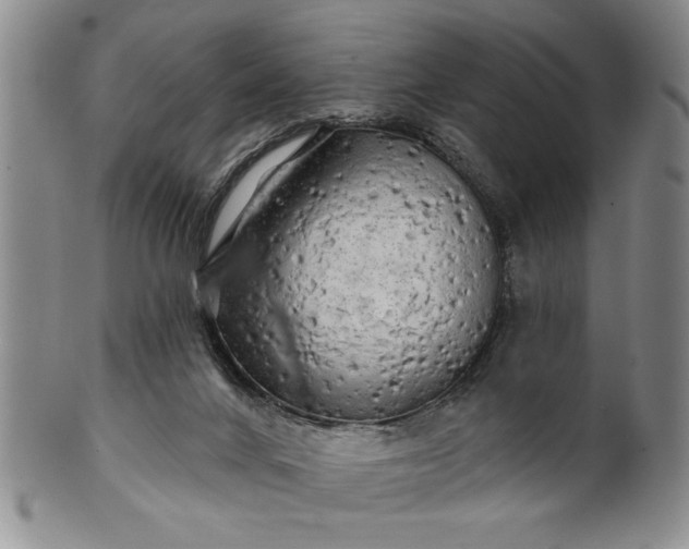 X0000100970024200807081230
