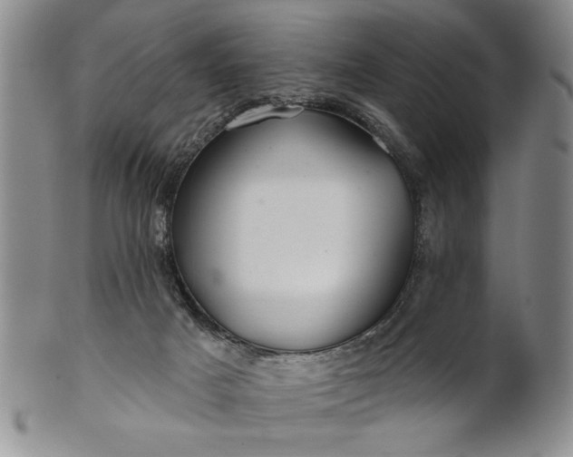 X0000100970025200807081230