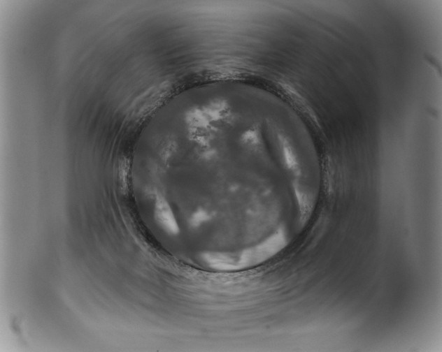 X0000100970026200807081230