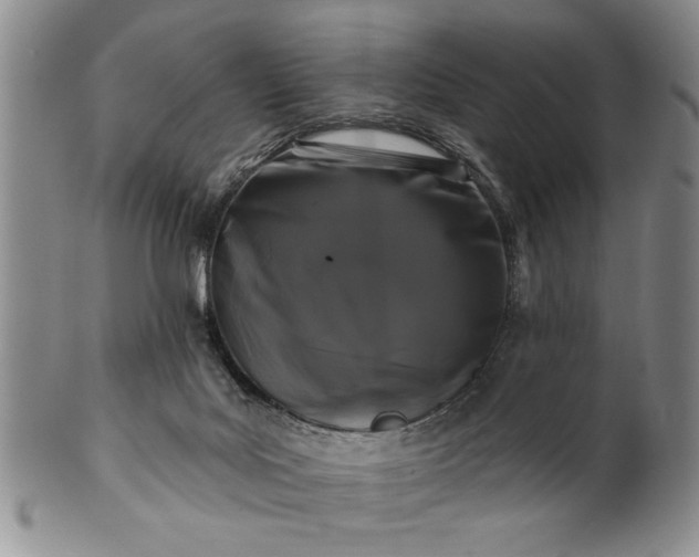X0000100970027200807081230