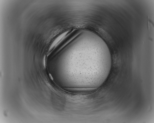 X0000100970028200807081230