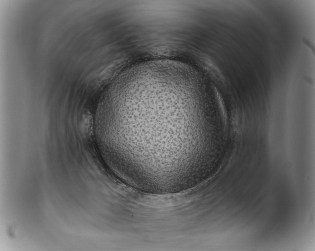 X0000100970029200807081230