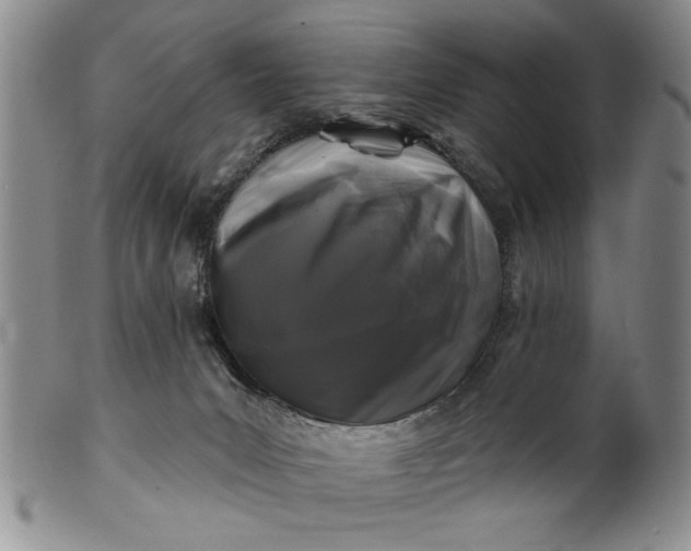 X0000100970031200807081230