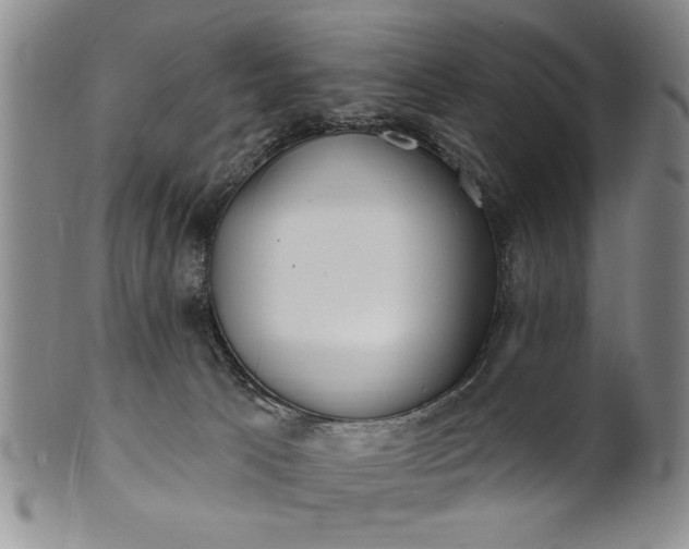 X0000100970033200807081230