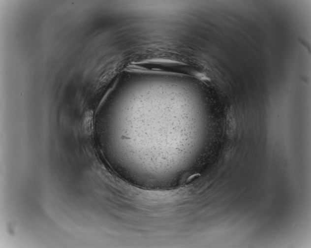 X0000100970034200807081230