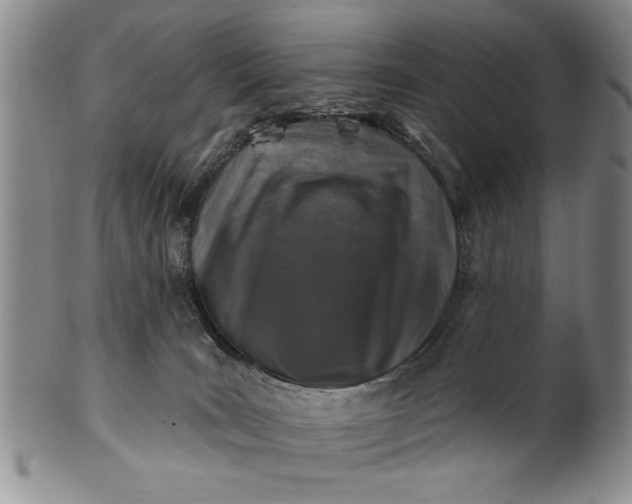 X0000100970035200807081230