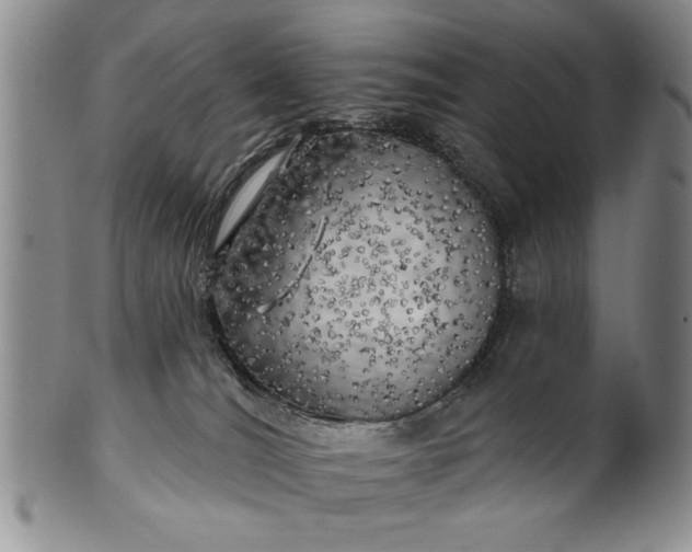 X0000100970036200807081230